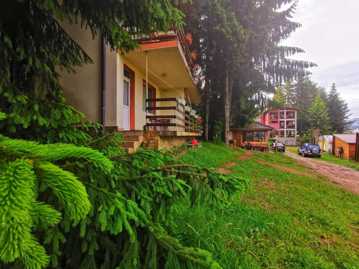 Orlino Holiday Park Sarnitsa Ngoại thất bức ảnh