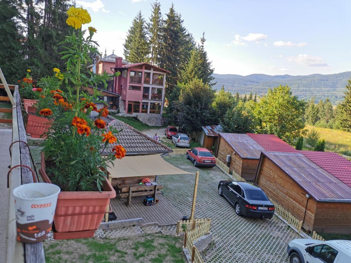 Orlino Holiday Park Sarnitsa Ngoại thất bức ảnh
